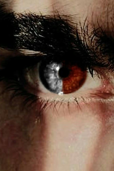 Голоса в тишине