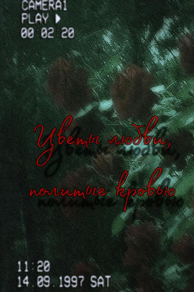 Цветы любви, политые кровью