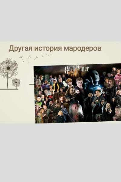 Другая история мародеров