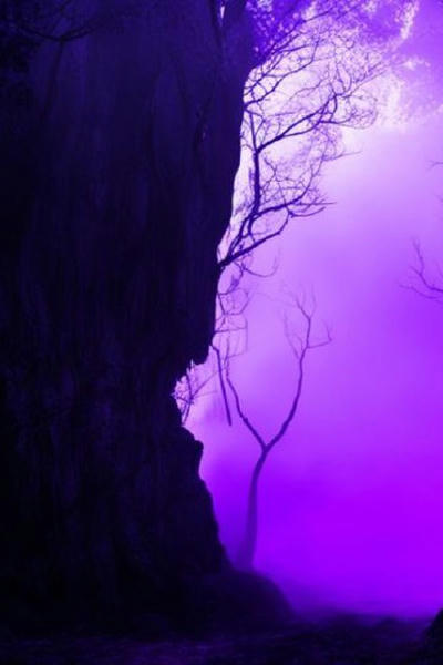 Пурпурное небо