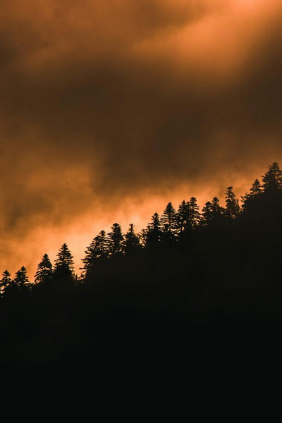 Утро станет сном