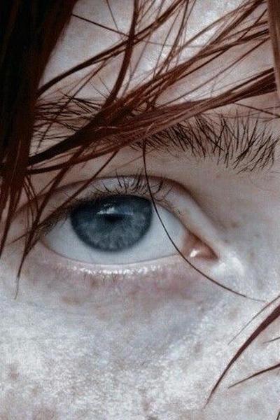 Три вопроса.