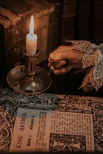 Версальские хроники