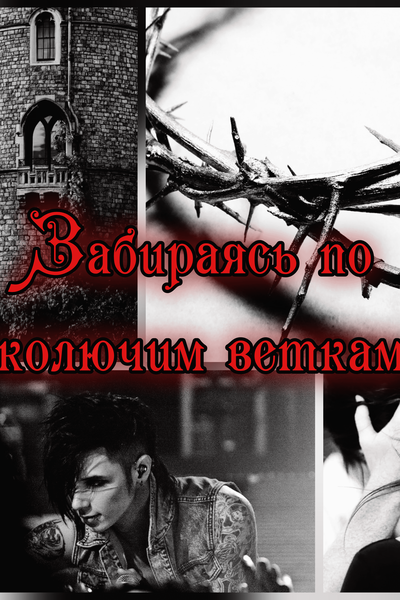 Забираясь по колючим веткам