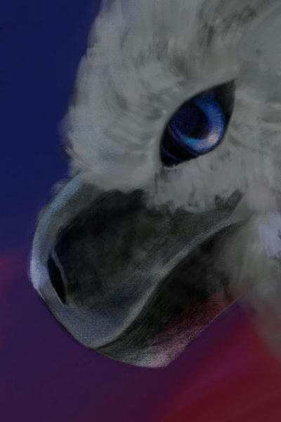 Архи, имя которого — Грей