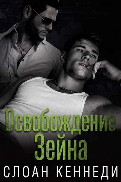 Освобождение Зейна