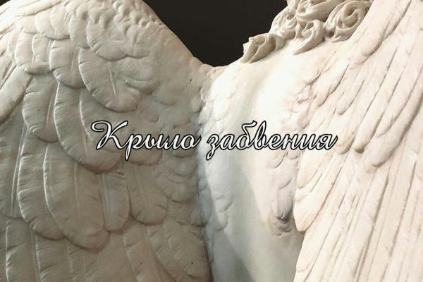 Крыло забвения