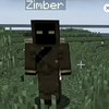 Zimber_The stalker_mistica