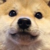 New_Reno