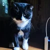 Ivan_Nikitinsky