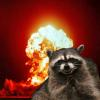 lucifer the raccoon