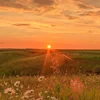 Раззи