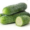 Кукумбер270