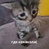 лиана нерастение