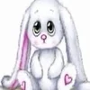 zxcdzxc