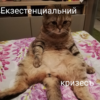 Крик Из Космоса