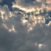 Вестик252