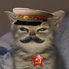 Советский котяра