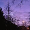 Кристи Принц