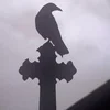 NightCorvus
